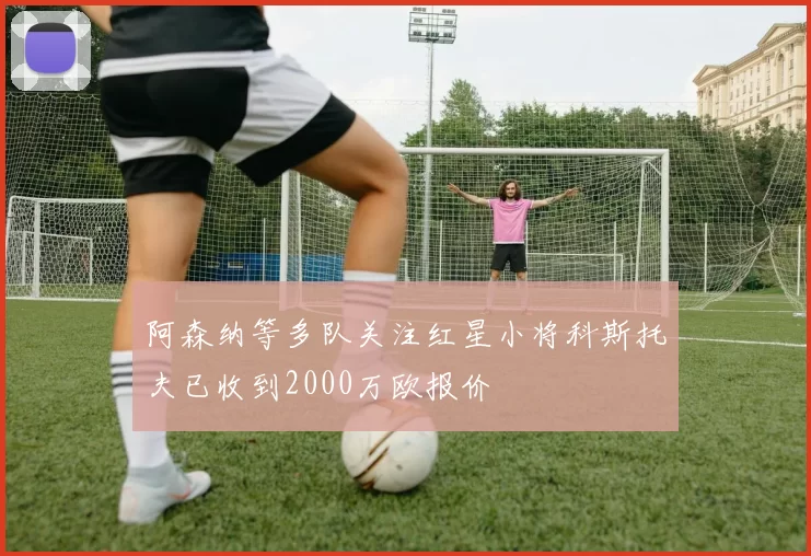 阿森纳等多队关注红星小将科斯托夫已收到2000万欧报价